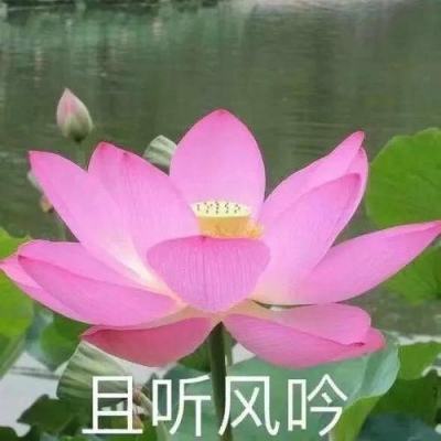 云南丽江永胜县3次地震暂未造成人员伤亡